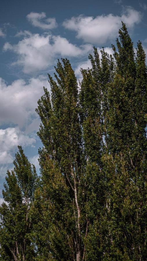 Pampas Del Sur Hotel Y Spa De Campo Каньюэлас Экстерьер фото